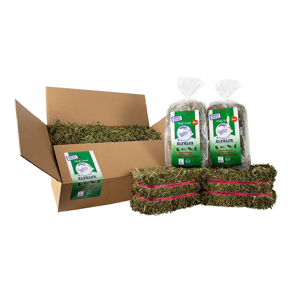 grandpa's best alfalfa loose boxed hay, 20 lbs