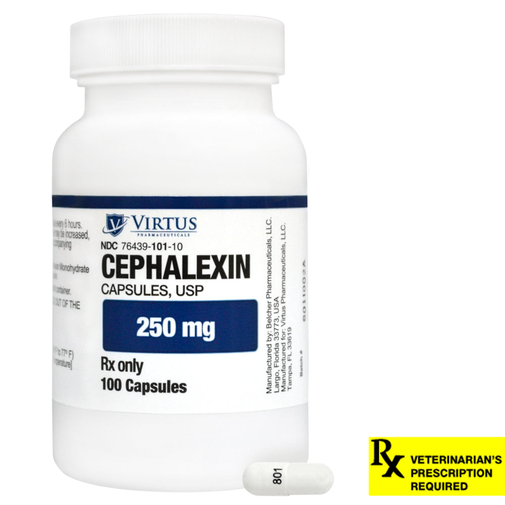 rx cephalexin 250mg x 100 capsules