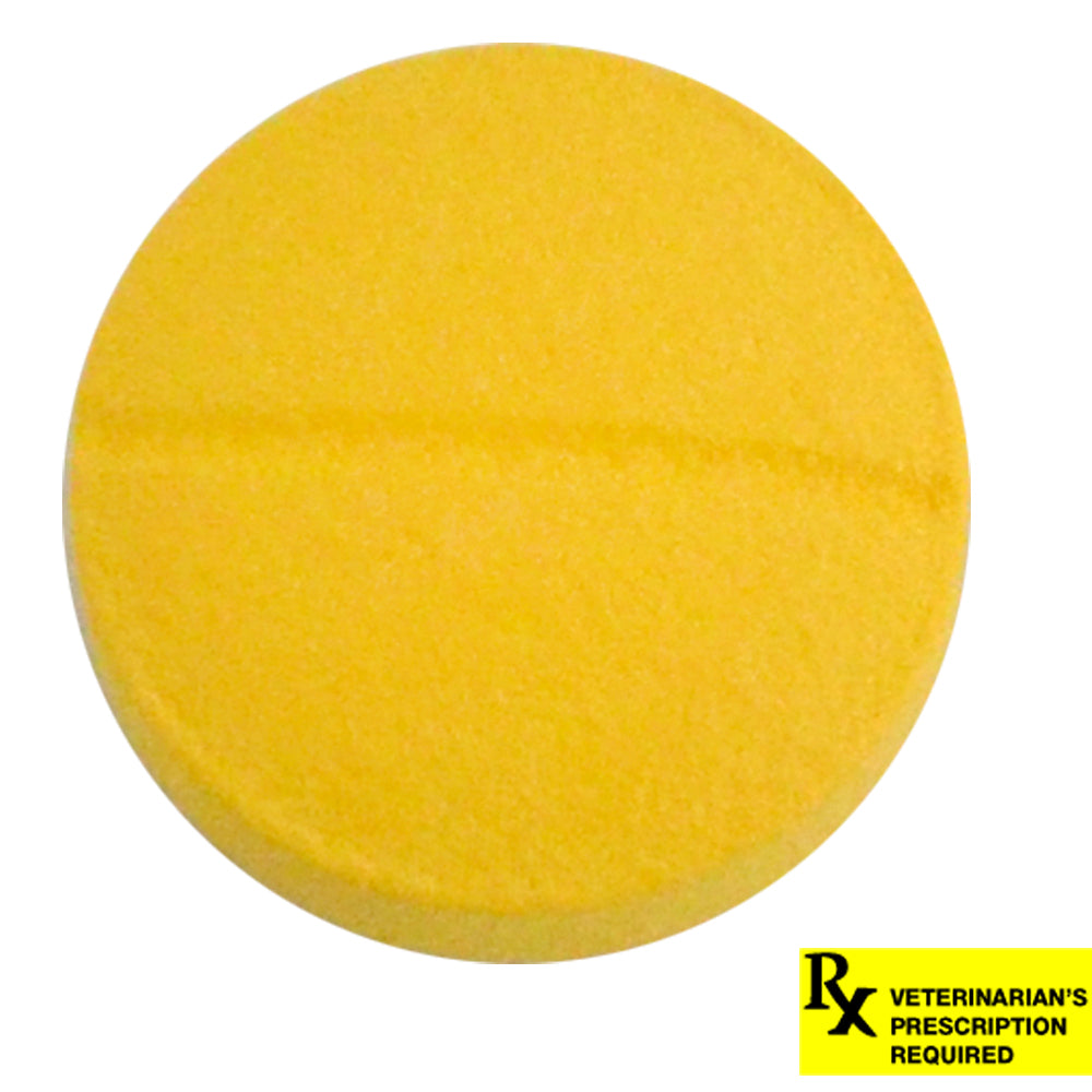 rx viceton (chloramphenicol) 250mg x 1 tablet