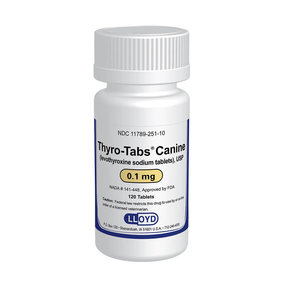 rx thyro-tabs 0.1 mg x 120 tablets
