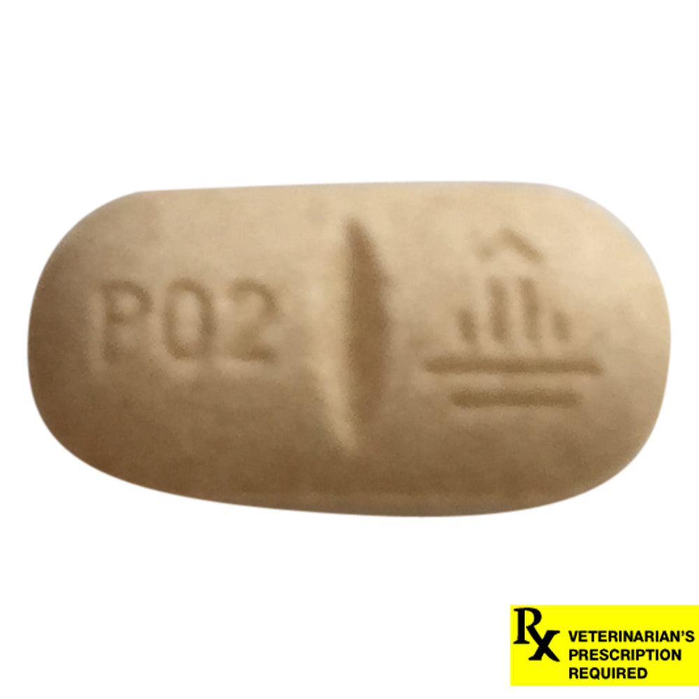 rx vetmedin 2.5mg x 1 tablet