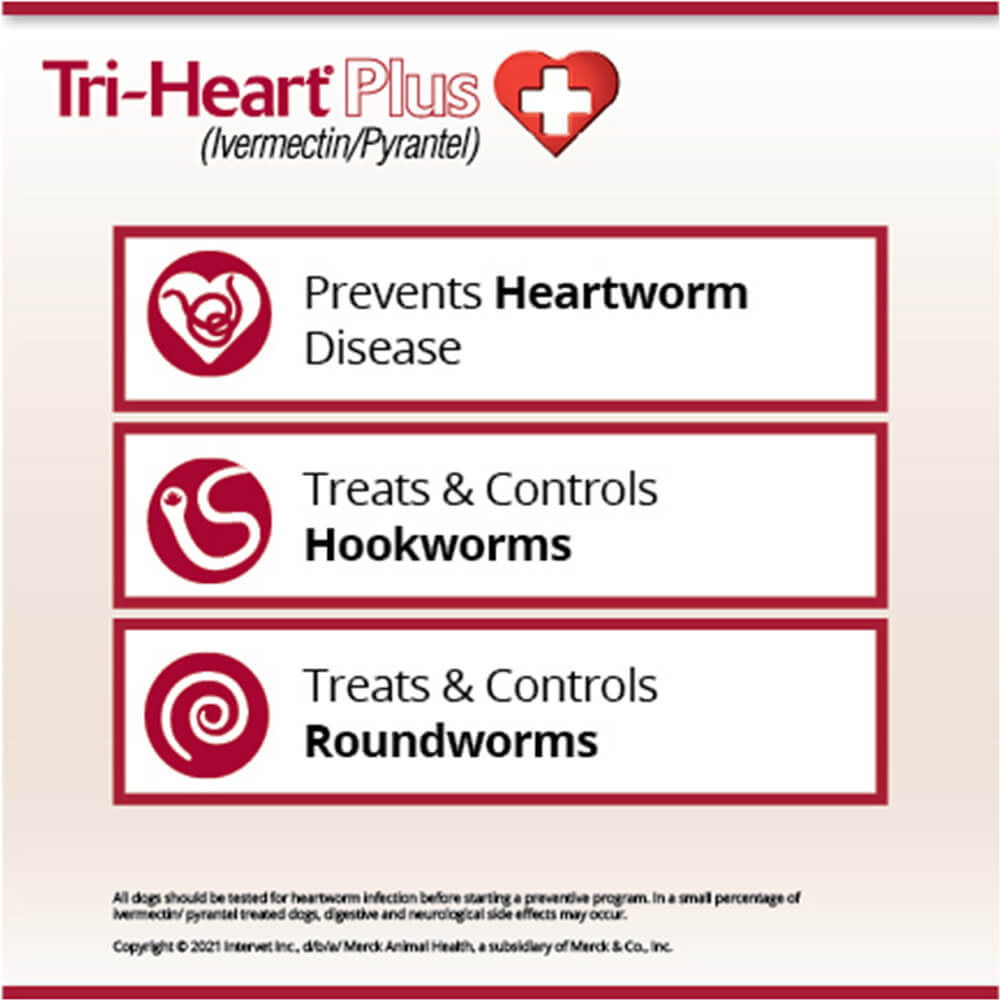 rx tri-heart plus 0-25 lbs single tab