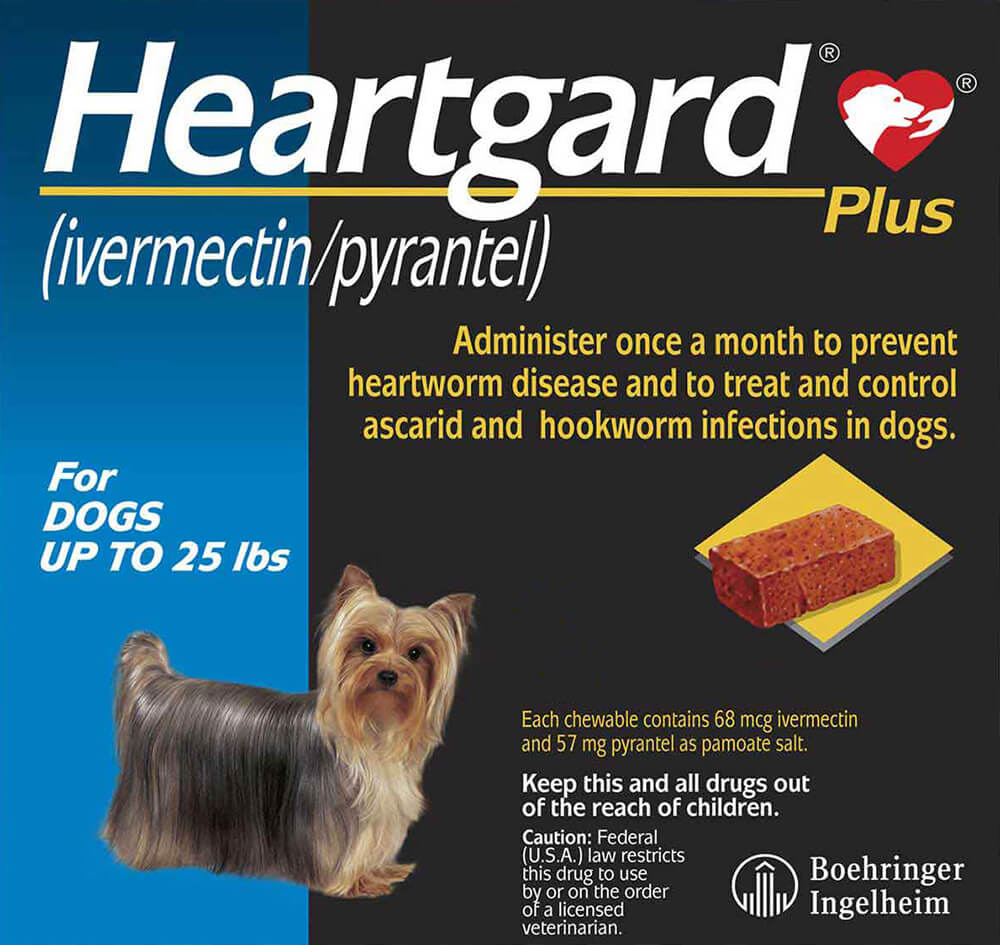 rx heartgard plus up to 25 lbs 12 month blue