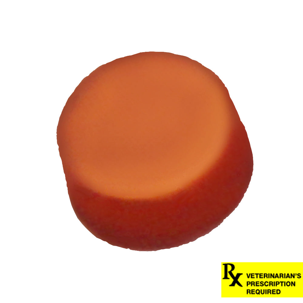 rx nexgard dog 4-10lbs x 1 tablet