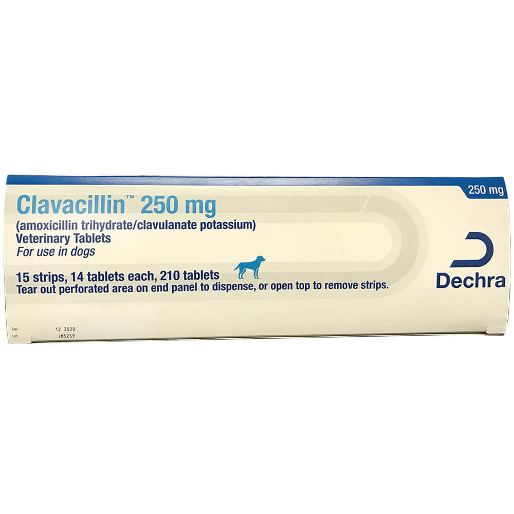rx clavacillin 250mg x210 tablets