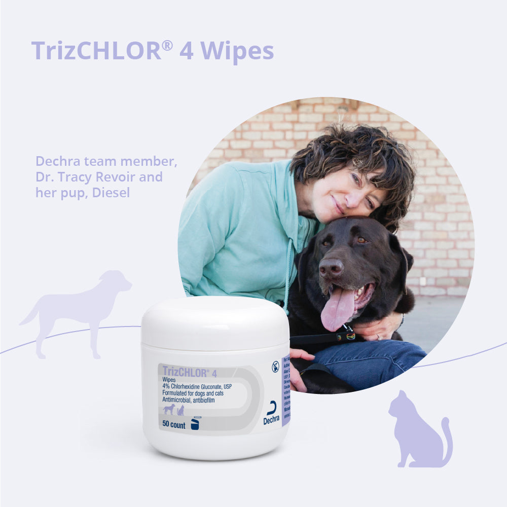 trizchlor 4 wipes for dogs and cats 50 ct