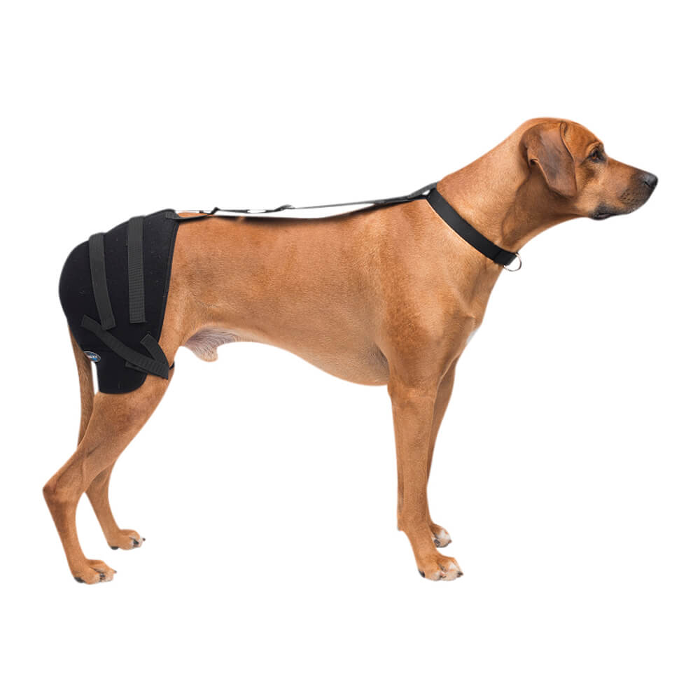 caldera pet therapy hip wrap with therapy gel, large