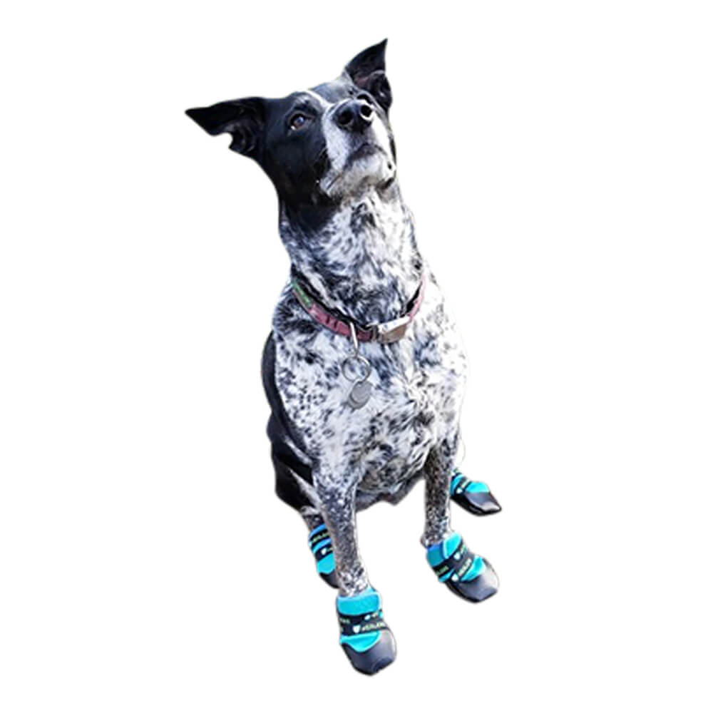 healers urban walker dog boots, pair, teal, xlarge