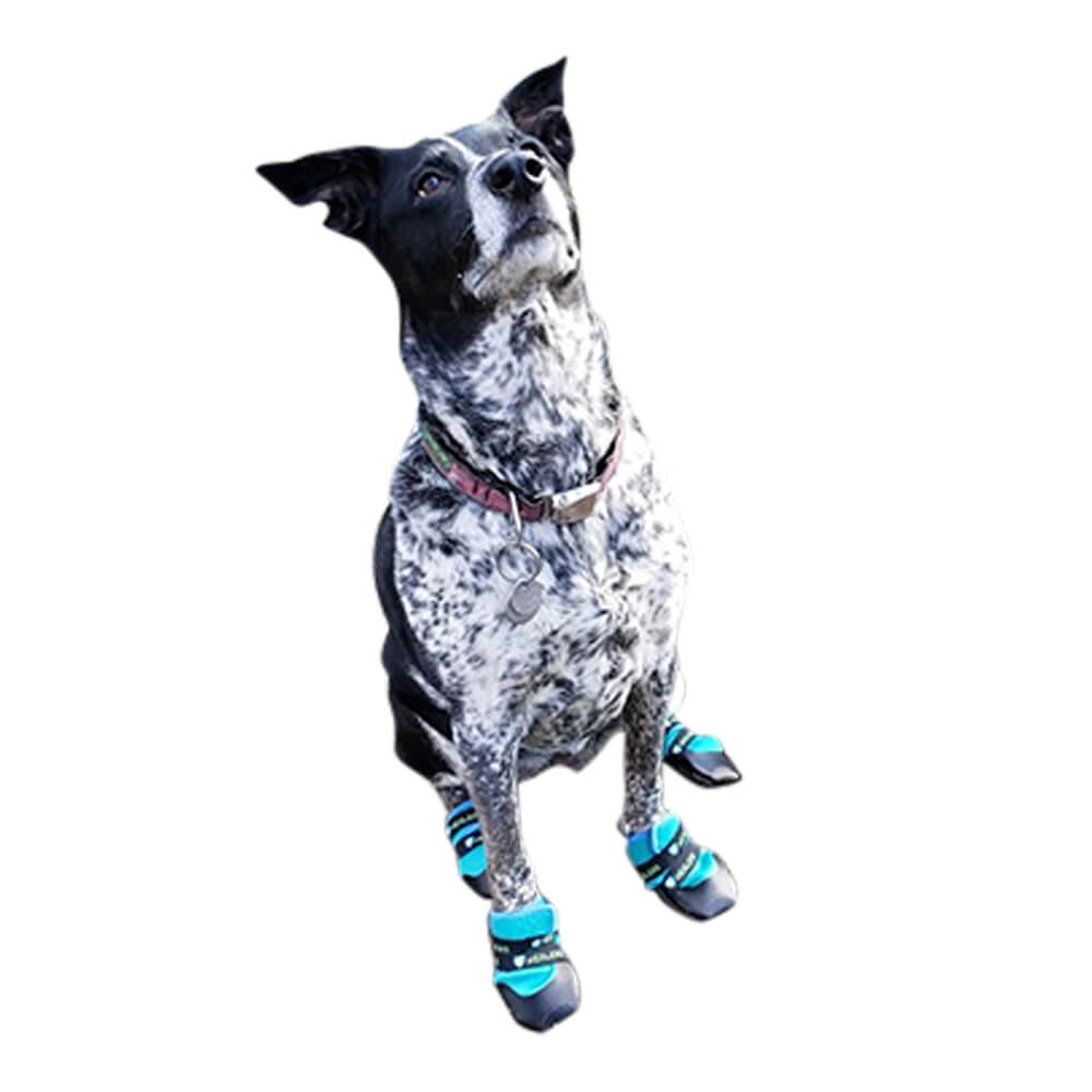healers urban walker dog boots, pair, orange, large