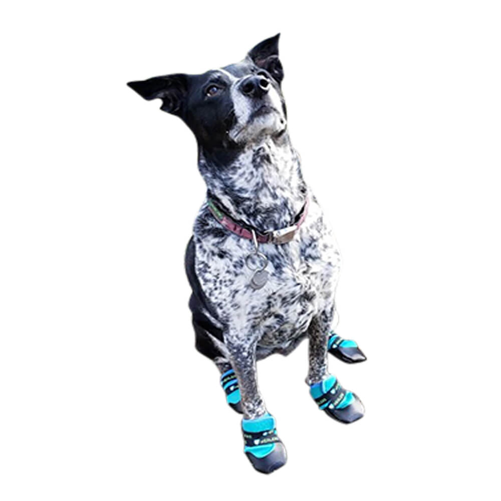 healers urban walker dog boots, pair, orange, small