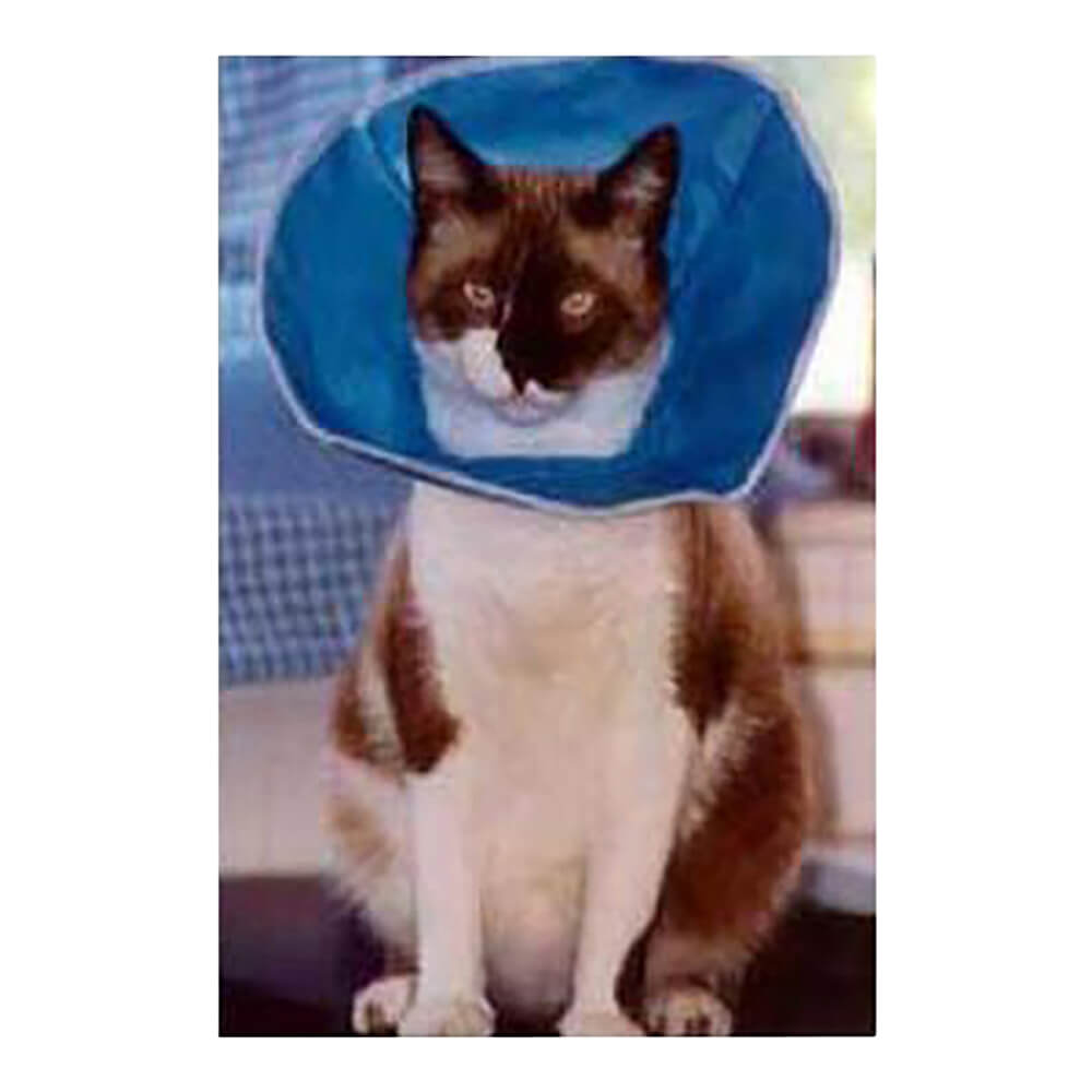 vet recovery collar 5 1/2'' (14 cm)