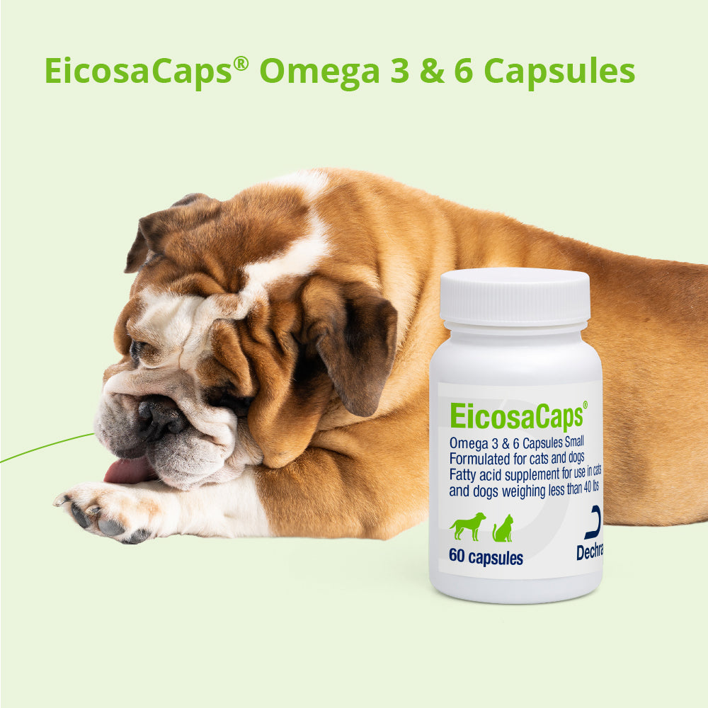 eicosacaps omega 3 & 6 for large dogs 41-70 lbs, 60 capsules