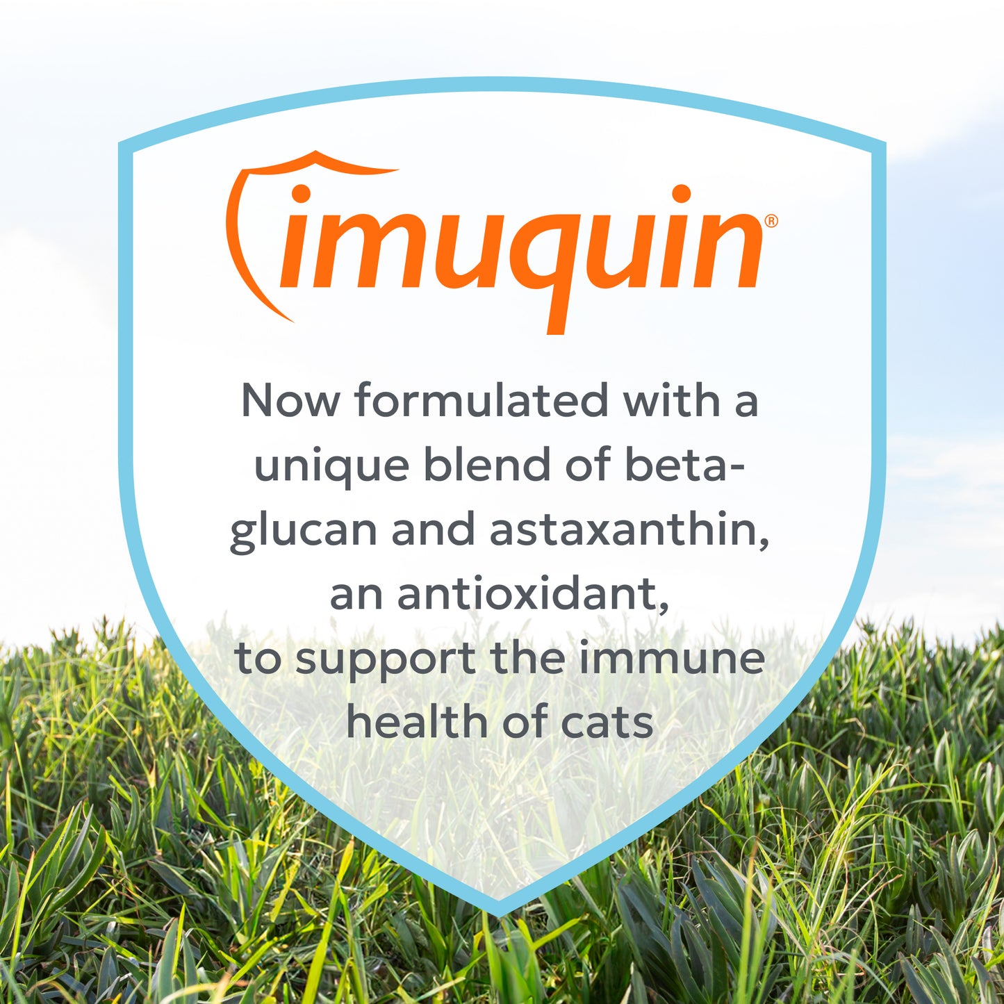nutramax imuquin immune health supplement powder for cats, with beta glucans, with astaxanthin, 30 sprinkle capsules