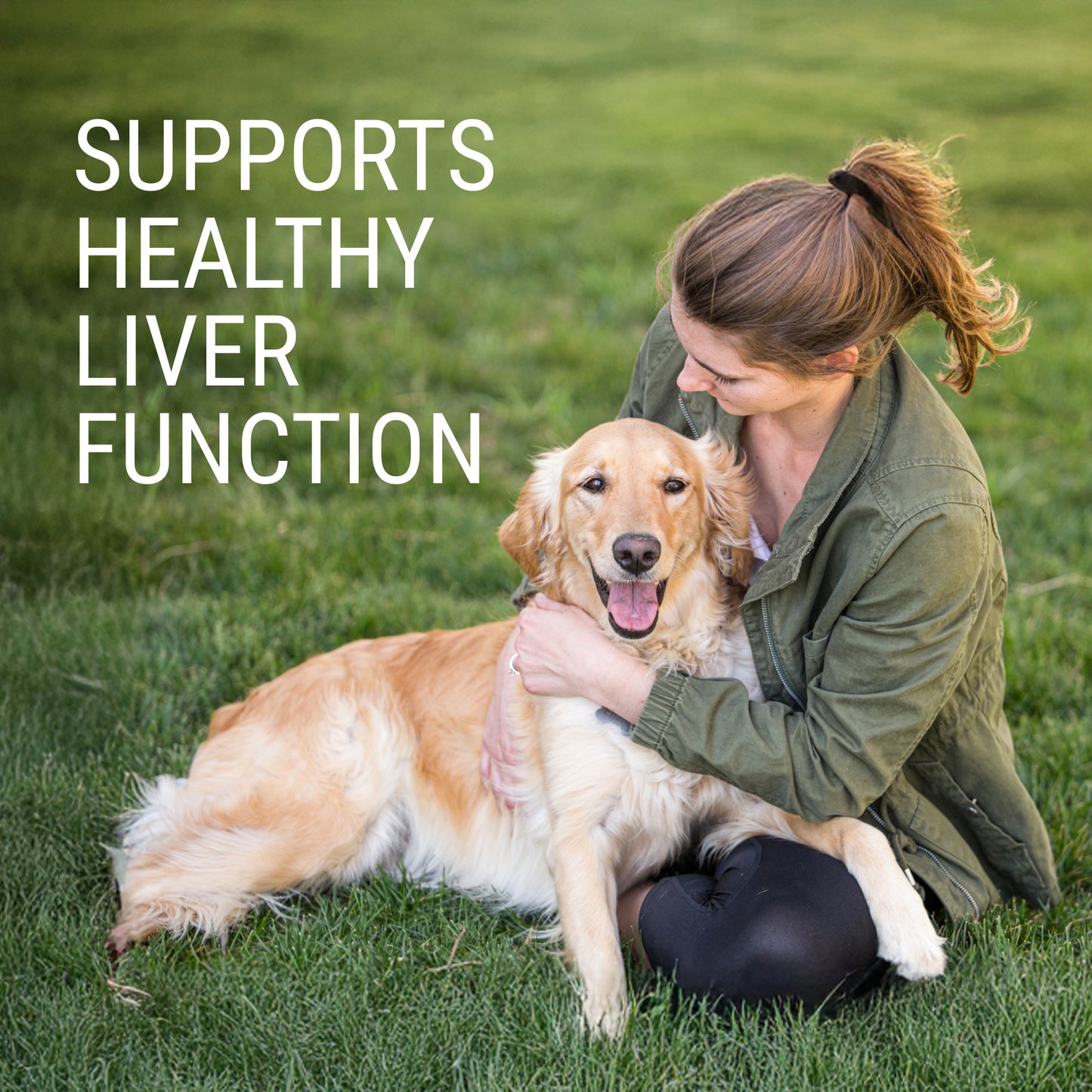 denosyl for large dogs 425 mg 30 stabilized tablets