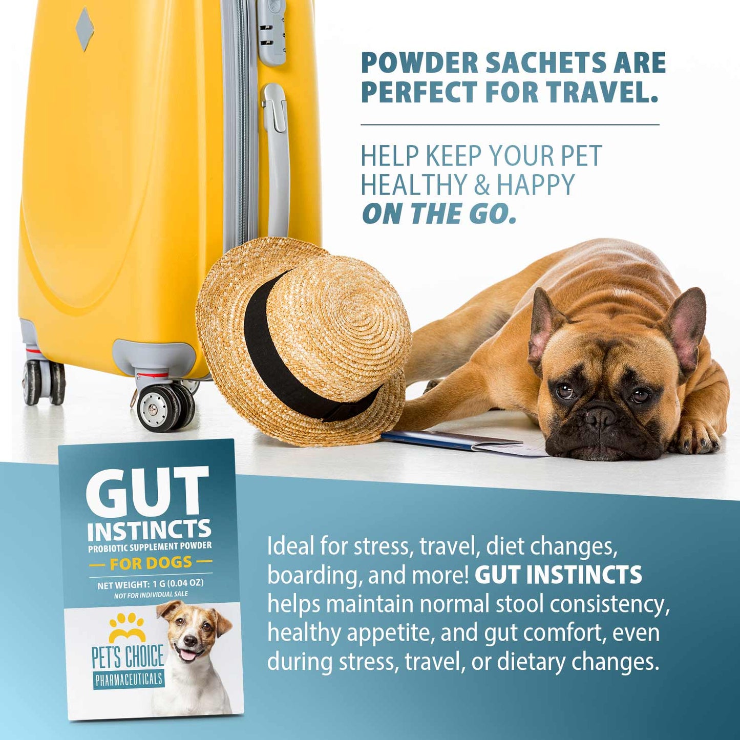 pet's choice gut instincts probiotic supplement powder packets for dogs, 30 ct, veterinary formulated dog probiotics with vitamins for gut health, digestive balance, diarrhea support, chicken flavor