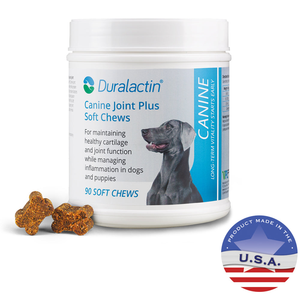 duralactin canine joint plus soft chews for dogs 90 ct