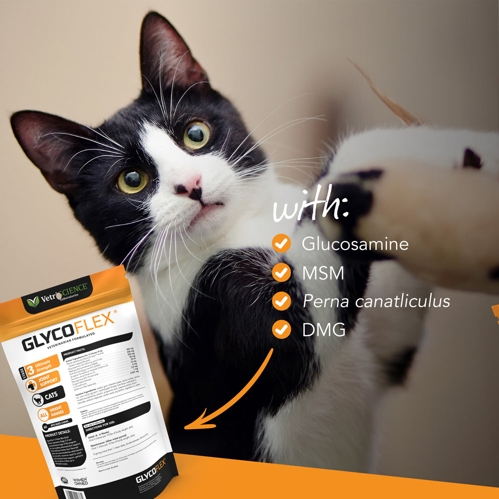 glyco flex 3 joint support for cats 60 bite sized chews