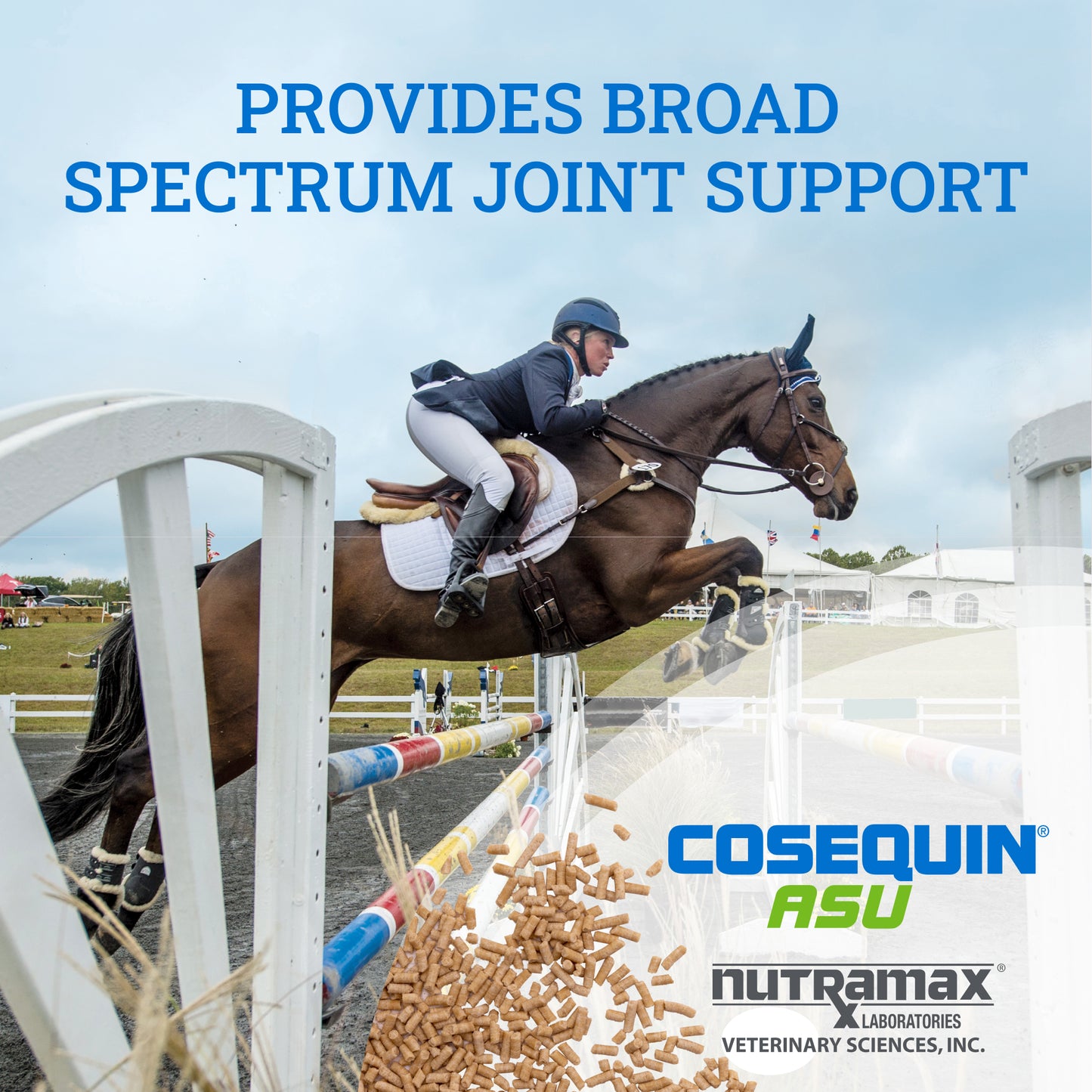 cosequin eq asu pellets 1420g