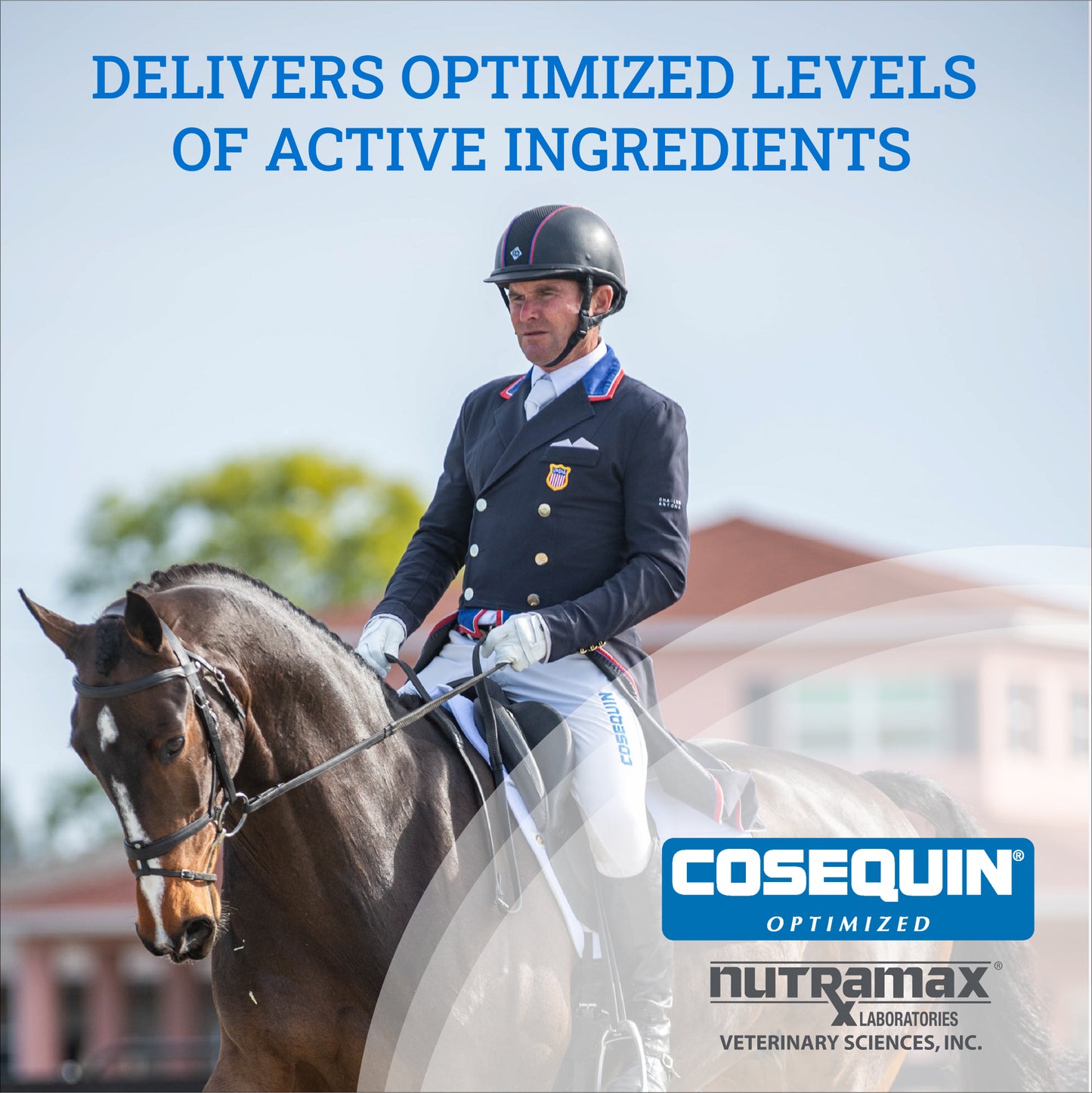 cosequin optimized with msm 3 lb