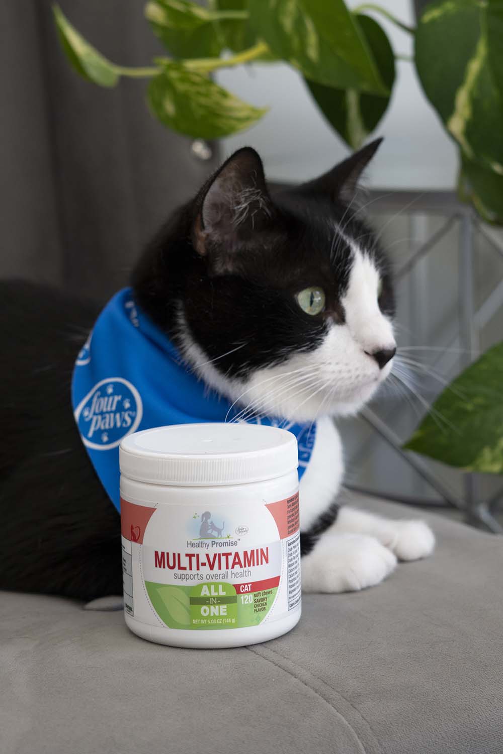 healthy promise multi-vitamins for cats, savory chicken (120 count)