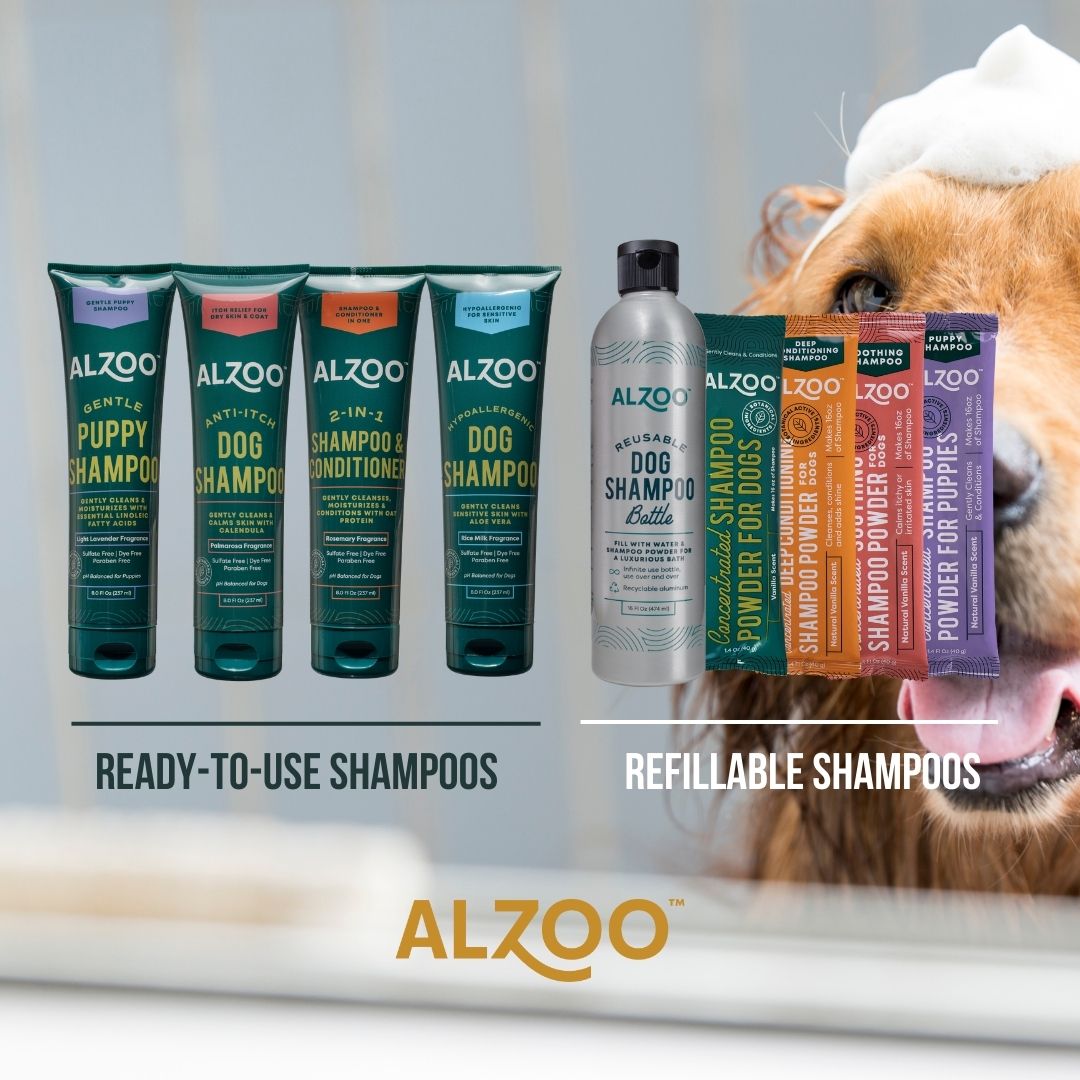 plant-based shampoo anti-itching, 8oz