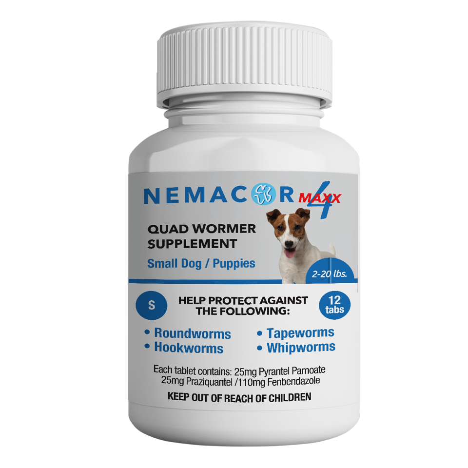 nemacor maxx 4 for dogs, beef, 12 ct sz: dog 2-20lb