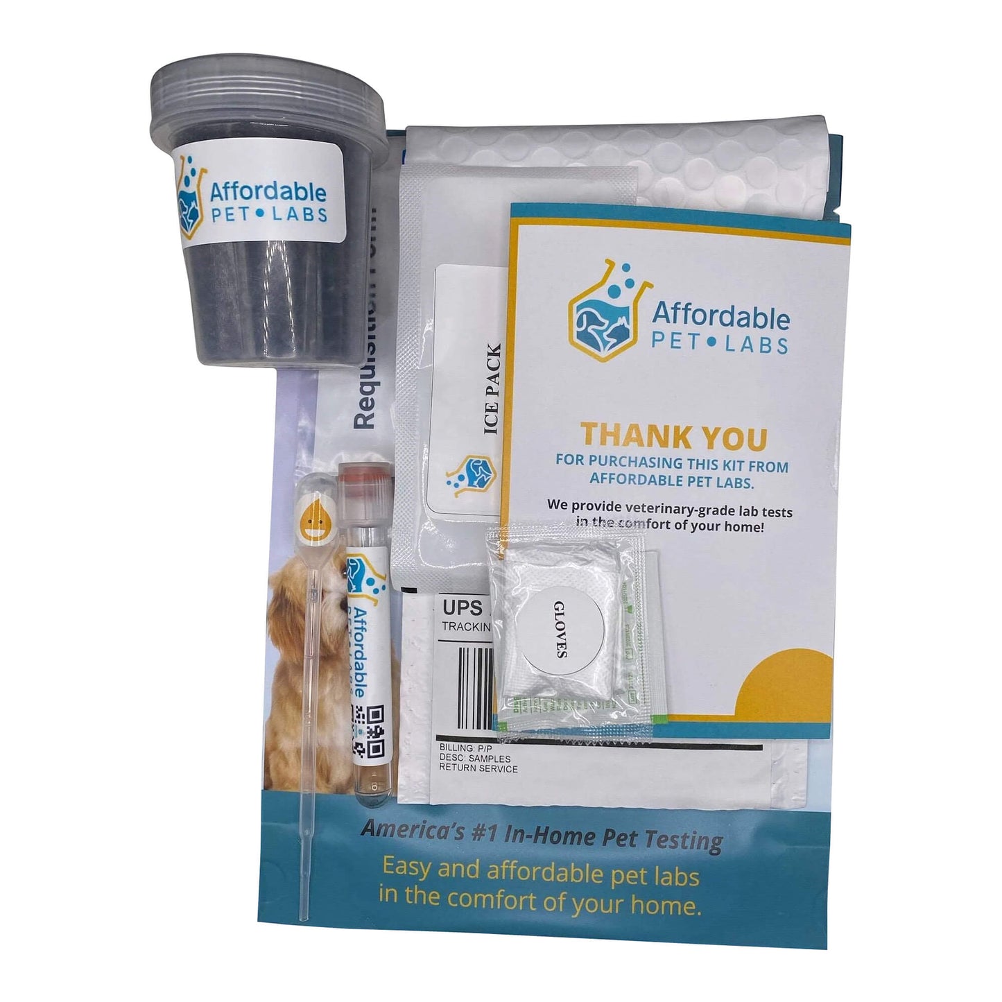 affordable pet labs combo complete urinalysis & fecal test for cats easy home kit