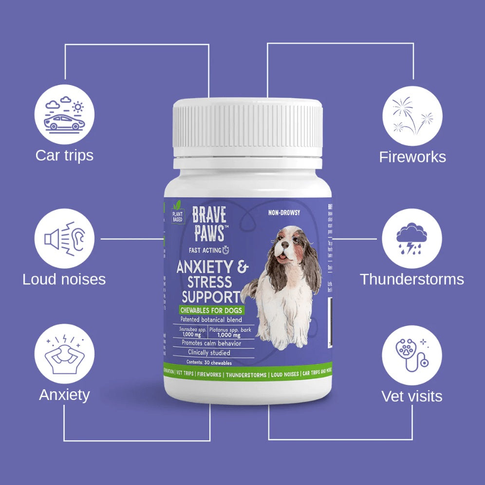 brave paws anxiety & stress support chewables, beef, 30 ct