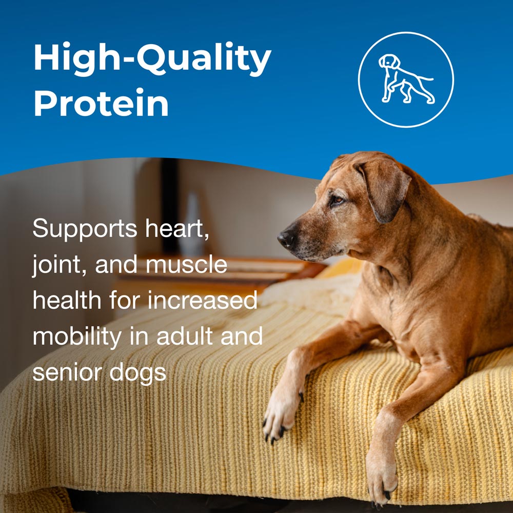 petag esbilac healthy aging powder for adult and senior dogs 14 oz