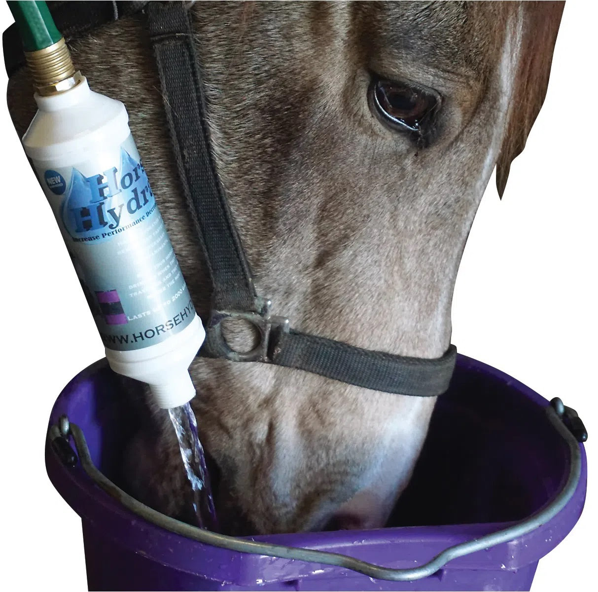 the horse and livestock hydrator