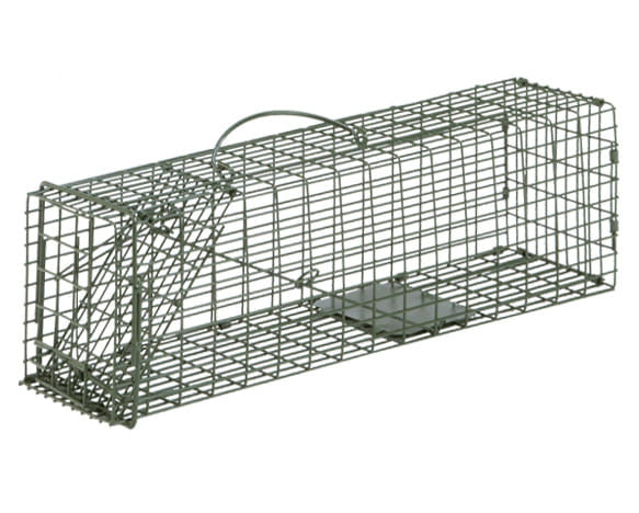 #1 cage trap