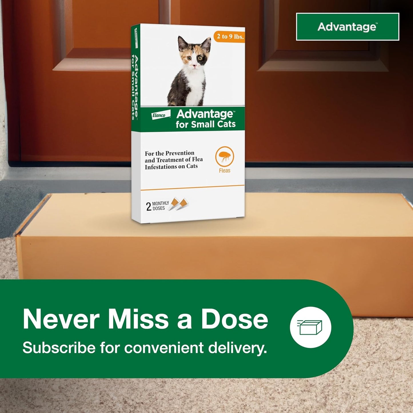 advantage for small cats 2pk