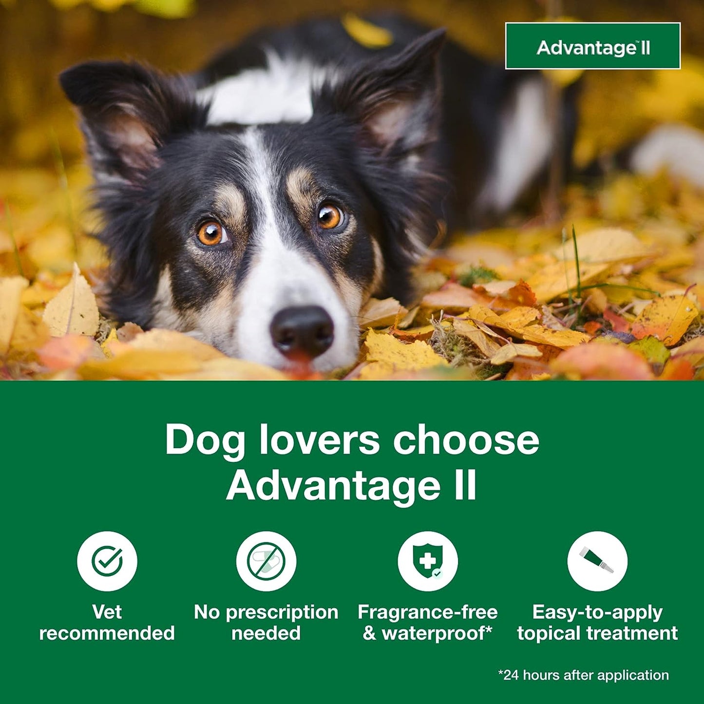 advantage dogs 21-55lb - 4pk