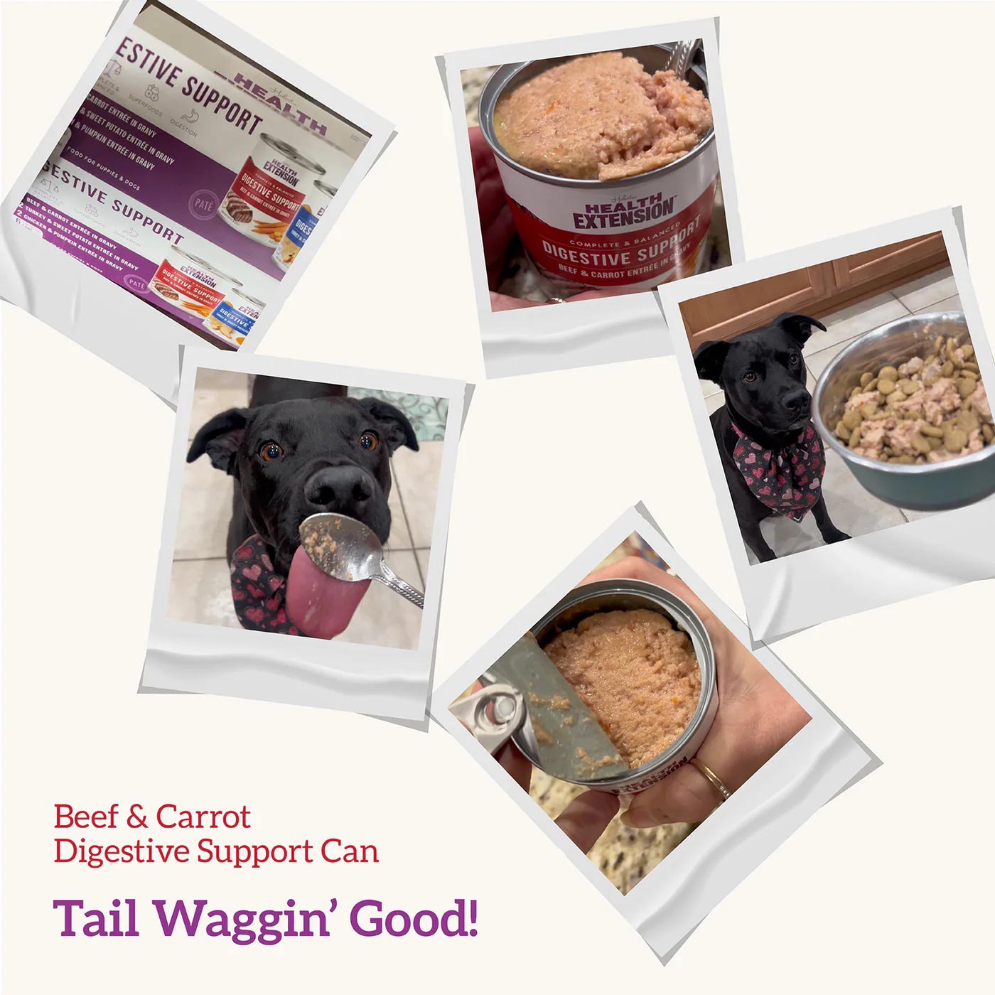 digestive support, beef & carrot entrée in gravy