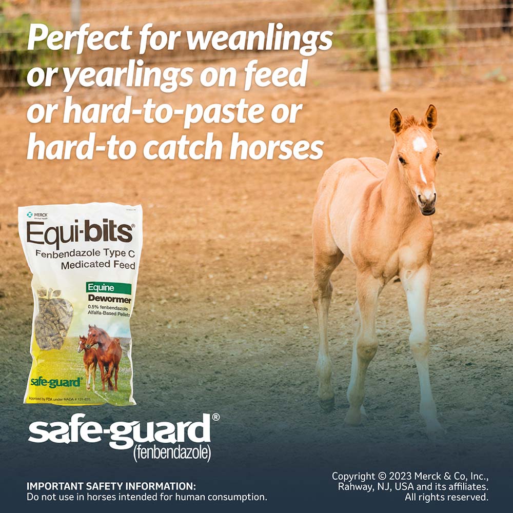 safe-guard equi-bits 1.25lb