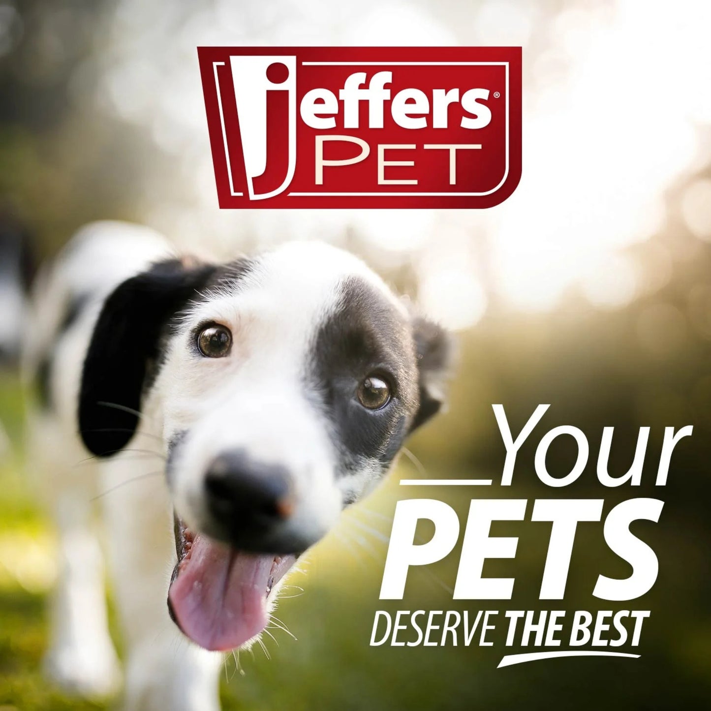 jeffers pet big mouth bass dog toy, 9" – plush fish toy for dogs, chew, fetch, toss, snuggle, interactive play, funny holiday gift, stocking stuffer, squeaky, cute, soft, durable, indoor, outdoor