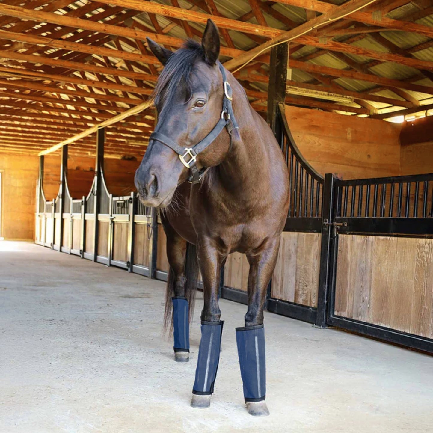 jeffers equine romper stomper fly boots for horses, navy, small, breathable mesh horse leg protection leggings, adjustable, chemical free, easy clean, reduce stomping, equine accessories - 4 pack