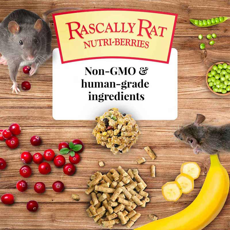 lafeber rascally rat nutri-berries, 10 oz bag