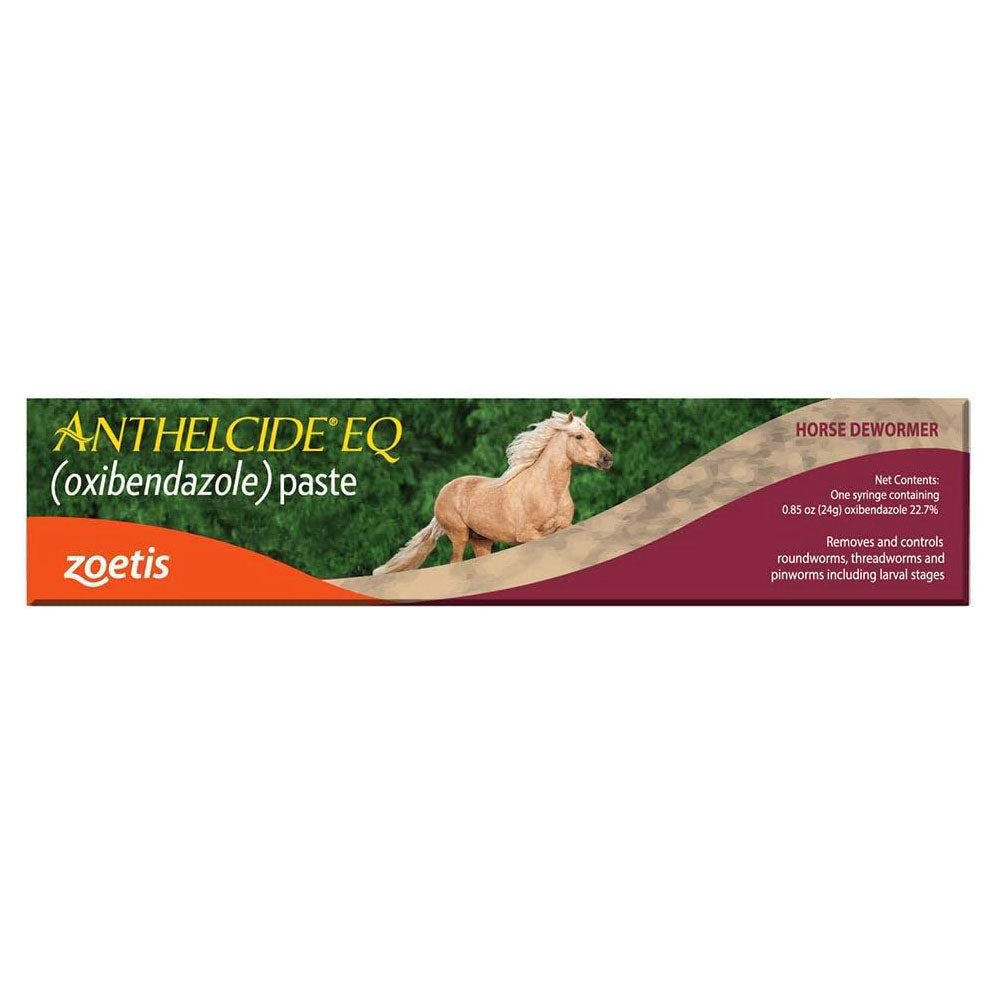 equine paste (24 gm)