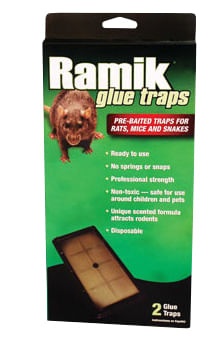2-pk ramik rat glue traps