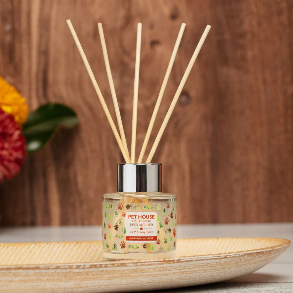 reed diffusers, evergreen forest