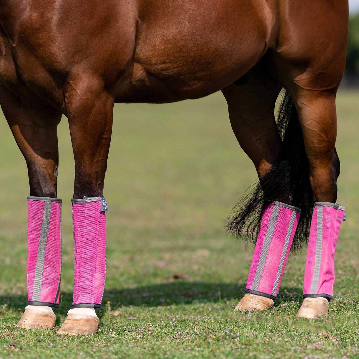 professional's choice deluxe fly boots 4 pack, medium, pink