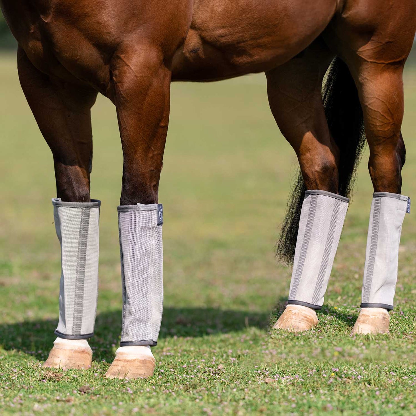 professional's choice deluxe fly boots 4 pack, large, charcoal