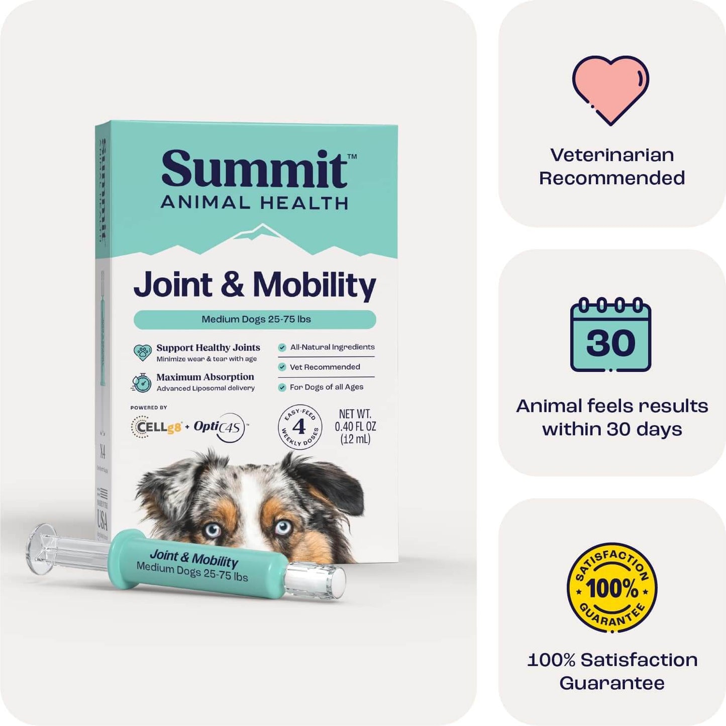 summit animal health joint & mobility liquid for medium dogs, 12ml