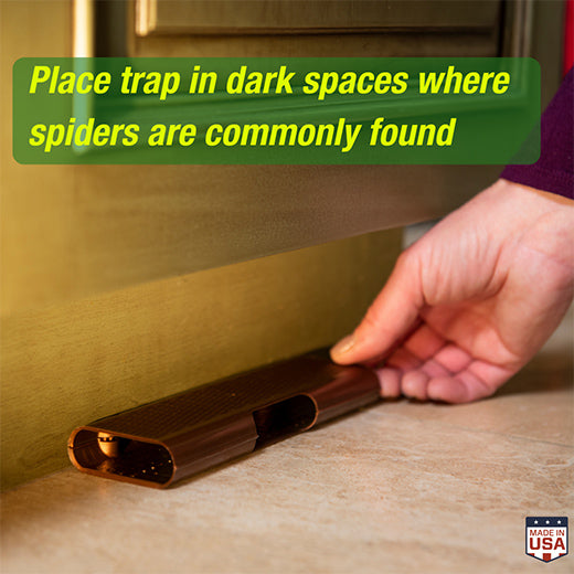 rescue! spider trap 3pk