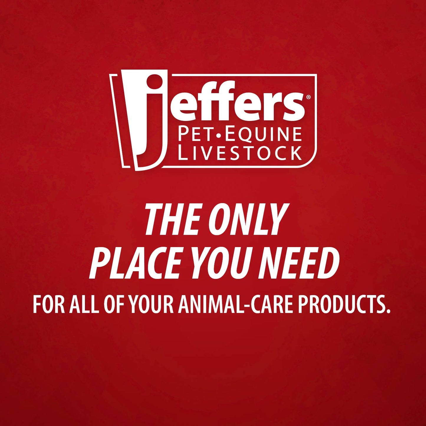 jeffers poly hub veterinary needles 100 pack – sterile hypodermic needles for injections, luer lock & slip syringes – medical lab supplies for cattle, goat, pets, livestock, vet use - 20ga x 1/2"