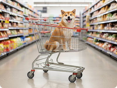 Pet travel accessories packed for a trip with a dog, cat, and equine