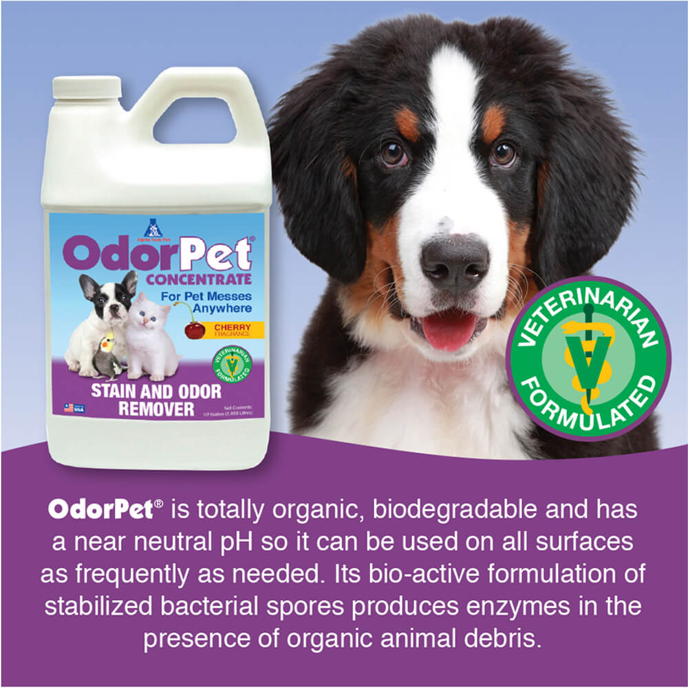 odorpet concentrate stain remover  black cherry ½ gallon