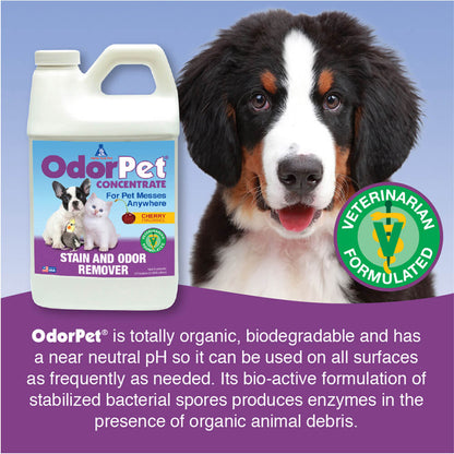 OdorPet Concentrate Stain Remover  Black Cherry ½ Gallon