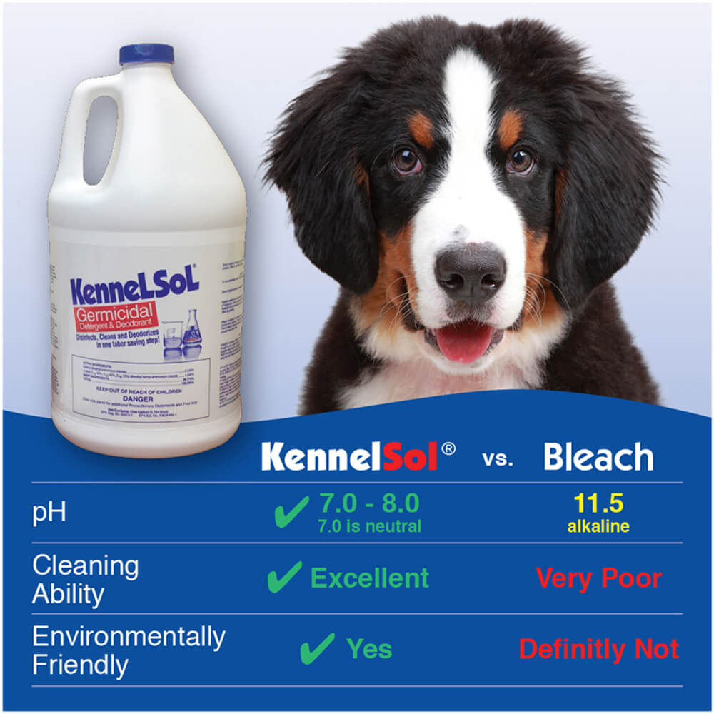 kennelsol germicidal detergent & deodorant  1 gallon